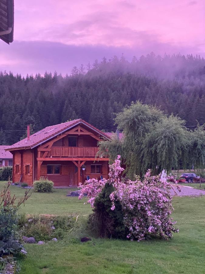 Le Chalet De La Deviniere, Bain Nordique Exterieur Chauffe Xonrupt-Longemer Eksteriør bilde